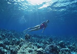横手駅前徒歩30秒の快適ステイを提供する横手プラザホテル&プラザイーストキャビンのご紹介